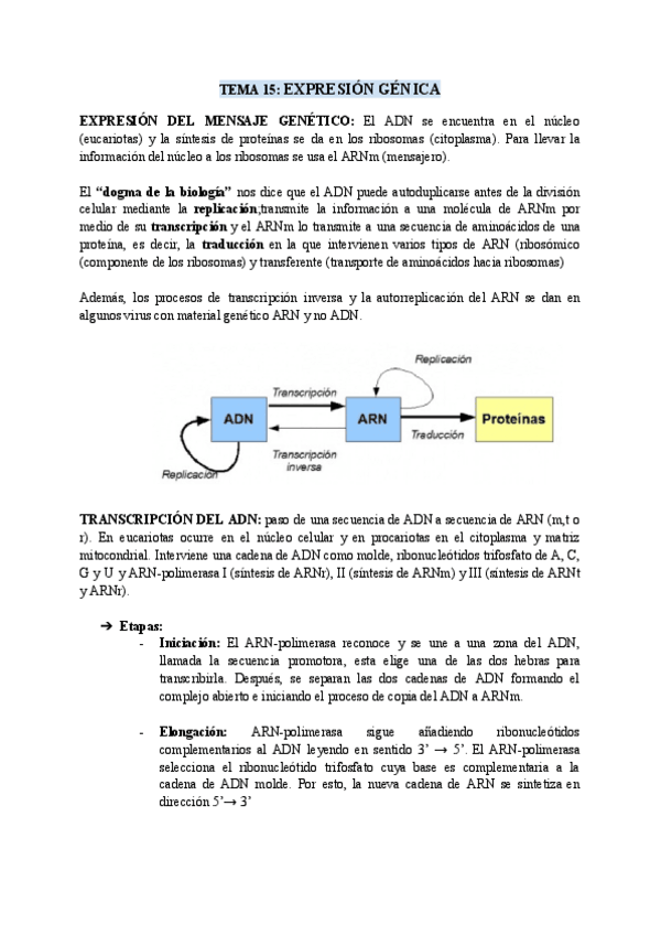Miniatura del documento TEMA-15-EXPRESION-GENICA.pdf