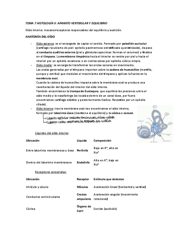 Miniatura del documento apuntes-tema-7.pdf