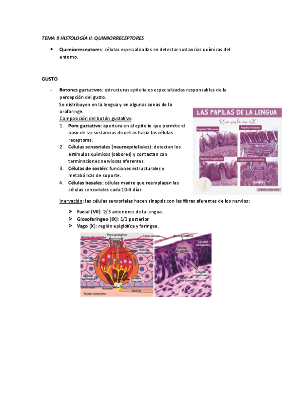 Miniatura del documento apuntes-tema-9.pdf