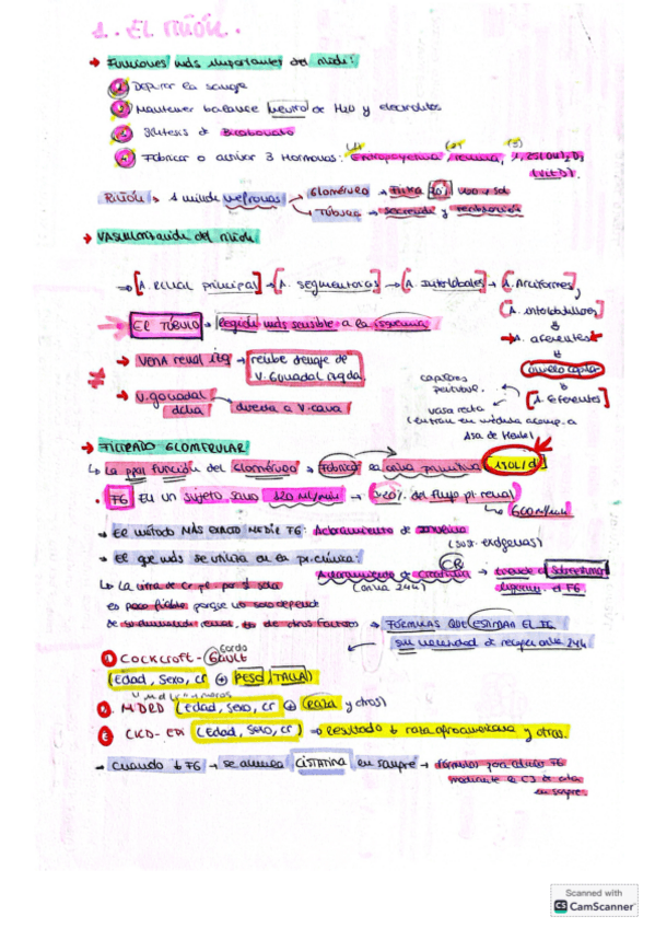 Miniatura del documento NEFROLOGIA-MIR.pdf