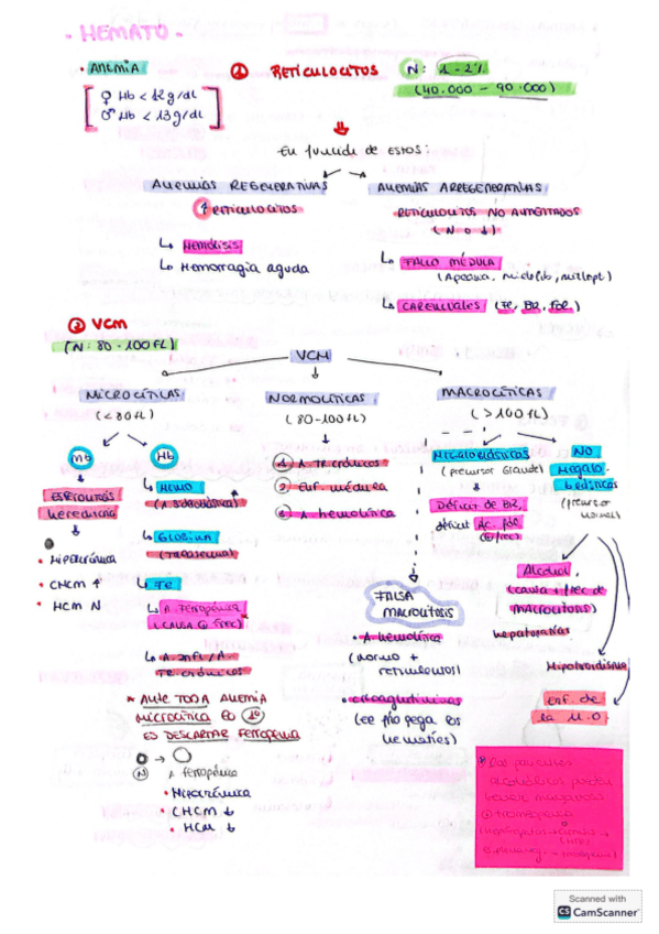 Miniatura del documento HEMATO-MIR.pdf