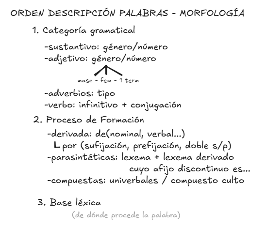 Miniatura del documento Resumen-Morfologia-1oBach.png