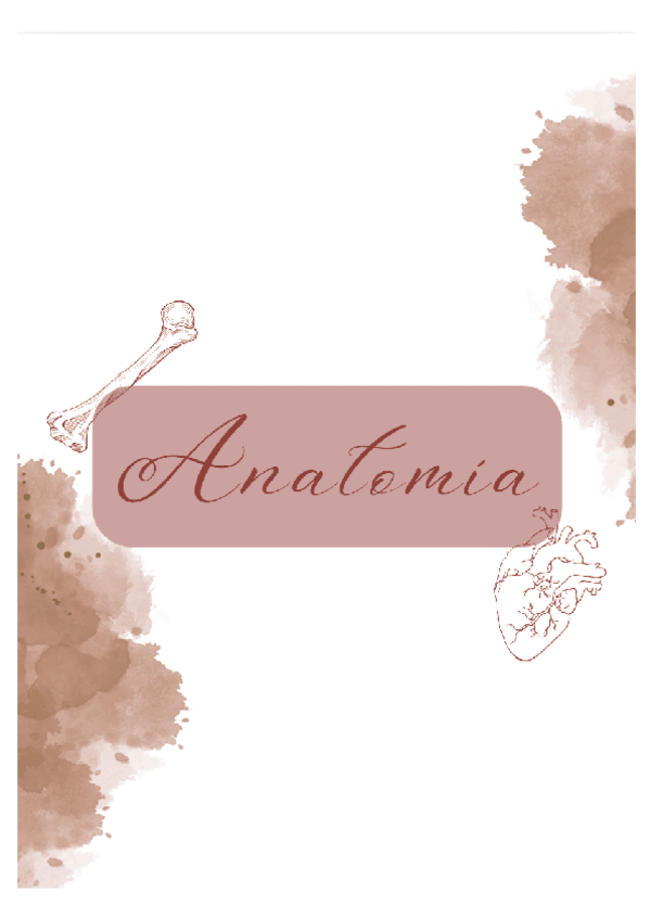 Miniatura del documento TEMA-1-Anatomia-Embriologia.pdf