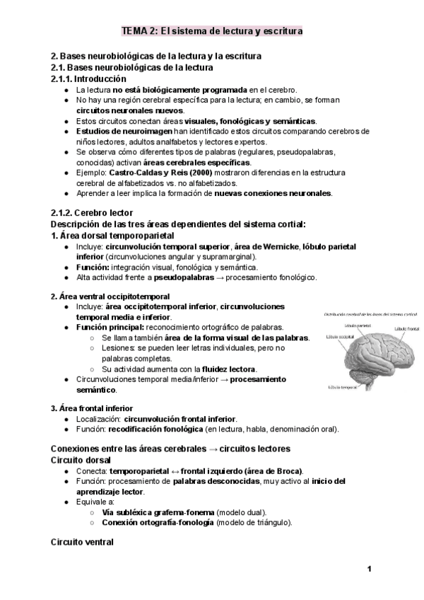 Miniatura del documento TEMA-2-El-sistema-de-lectura-y-escritura.pdf