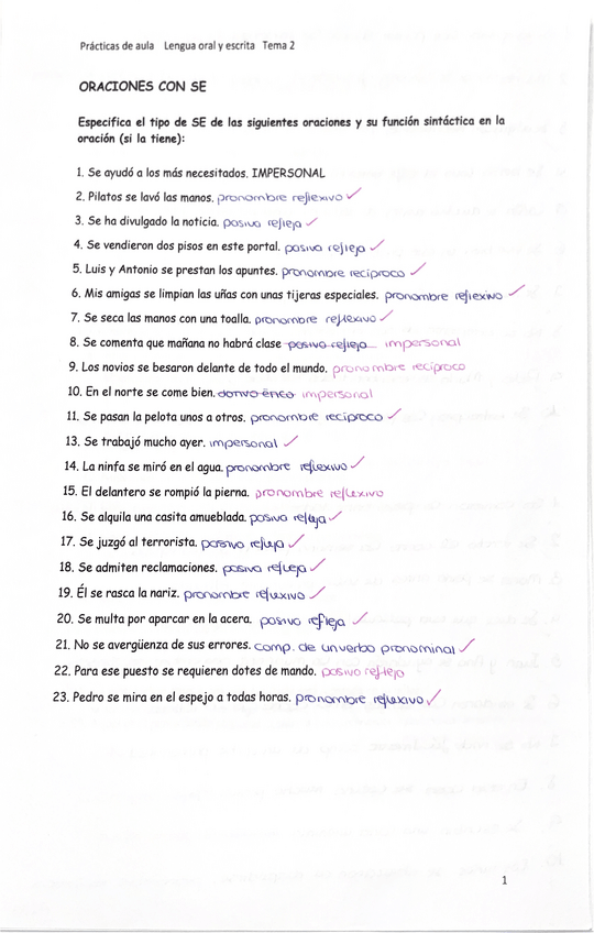 Miniatura del documento Oraciones-con-SE-y-Sintaxis.pdf