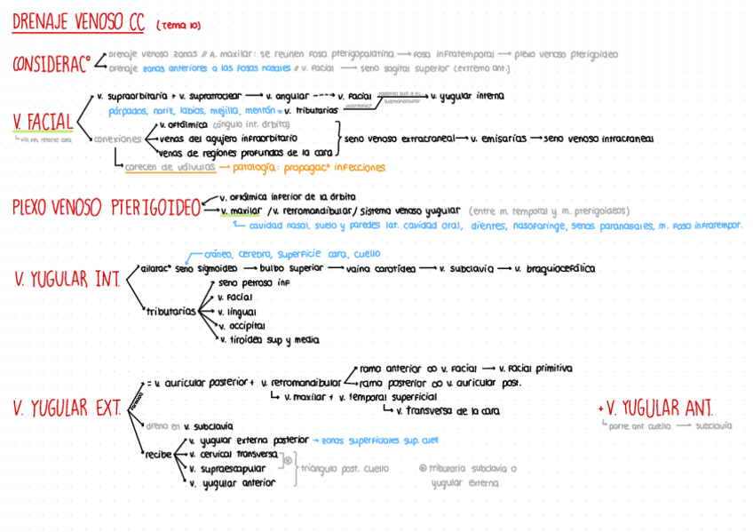 Miniatura del documento Resumen-venas-cabeza-y-cuello.pdf