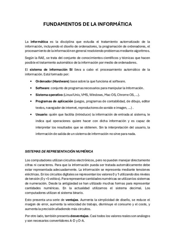 Miniatura del documento APUNTES_Informática.pdf
