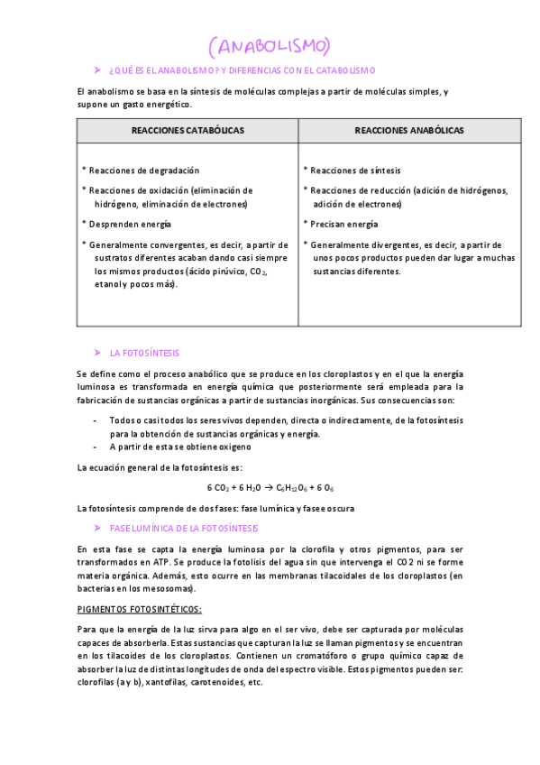 Miniatura del documento METABOLISMO-anabolismo.pdf