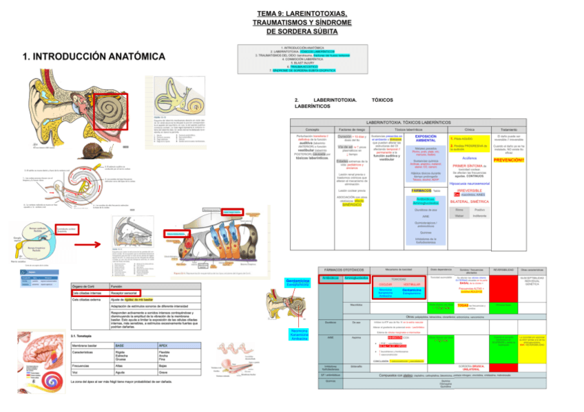 Miniatura del documento 9-LAREINTOTOXIAS-TRAUMATISMOS-Y-SINDROME-DE-SORDERA-SUBITA.pdf