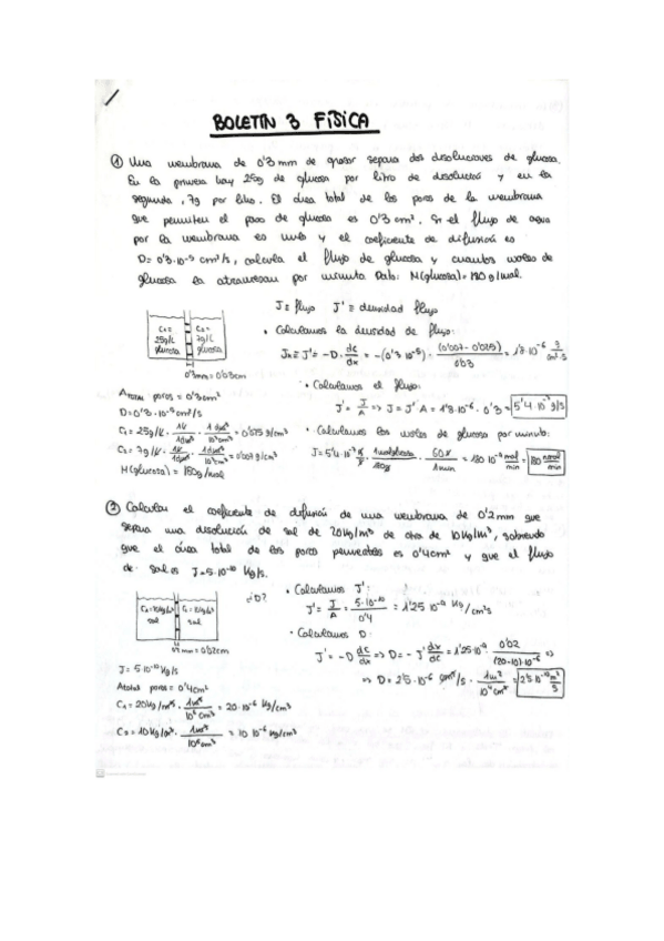 Miniatura del documento BOLETIN-TEMA-3-Fisica.pdf