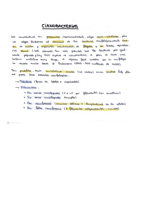 Miniatura del documento TEMA-6.1-Fundamentos-biologia-vegetal.pdf