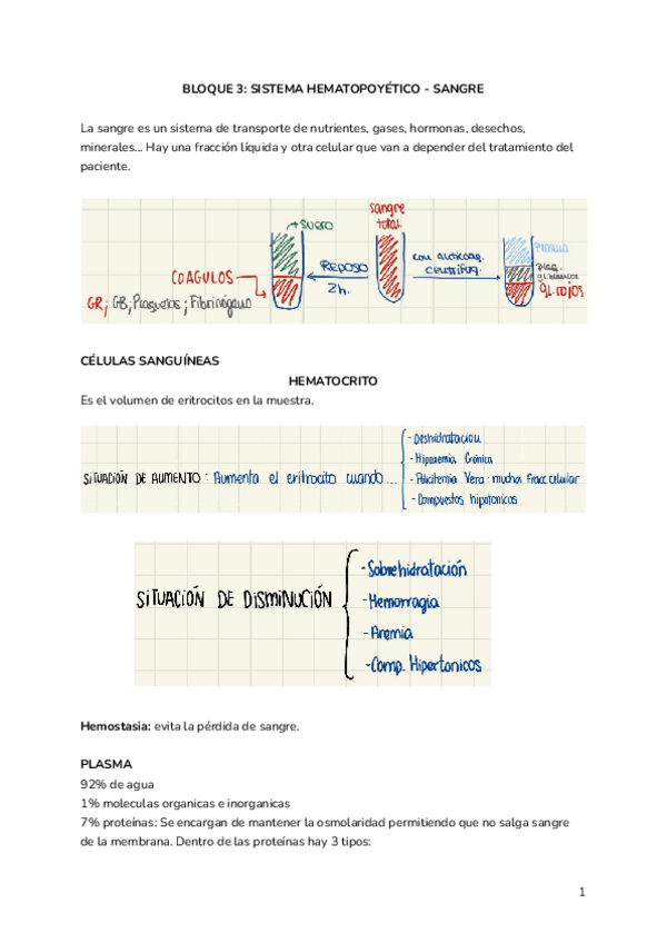 Miniatura del documento FISIOLOGIA-1.pdf