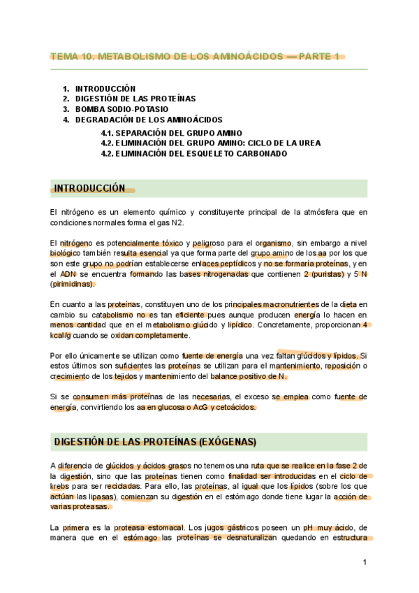 Miniatura del documento Bioquimica-TEMA-10.pdf