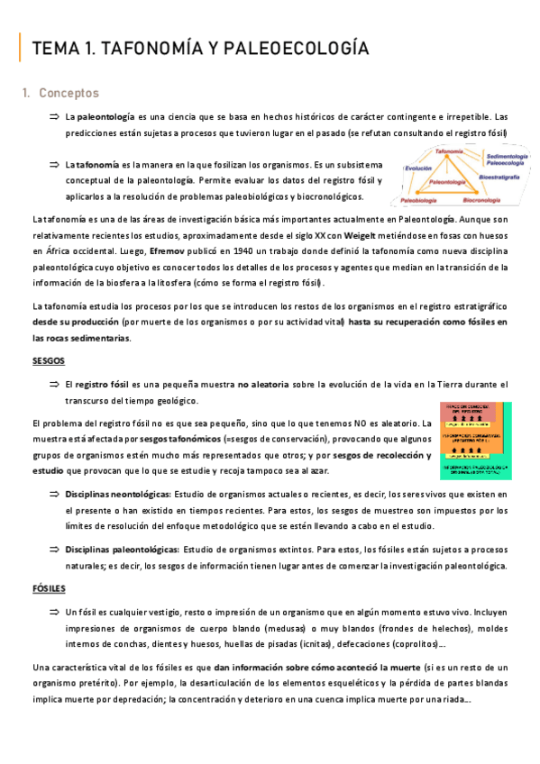 Miniatura del documento TEMA-1.-Tafonomia-y-paleoecologia.pdf