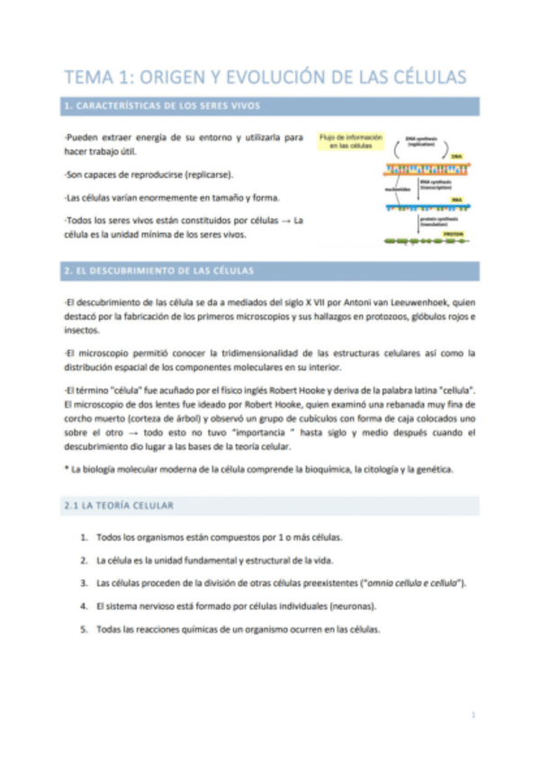 Miniatura del documento TEMA-1-ORIGEN-Y-EVOLUCION-DE-LAS-CELULAS.pdf