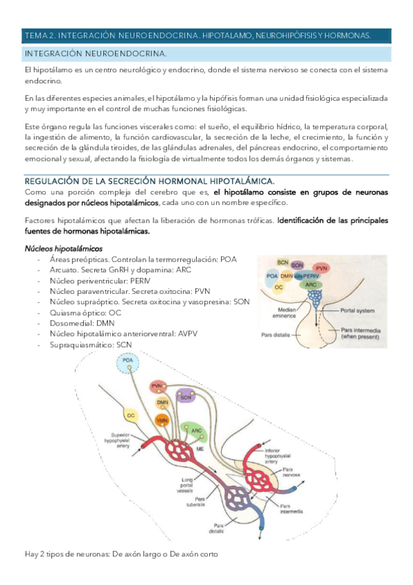 Miniatura del documento TEMA-2.pdf