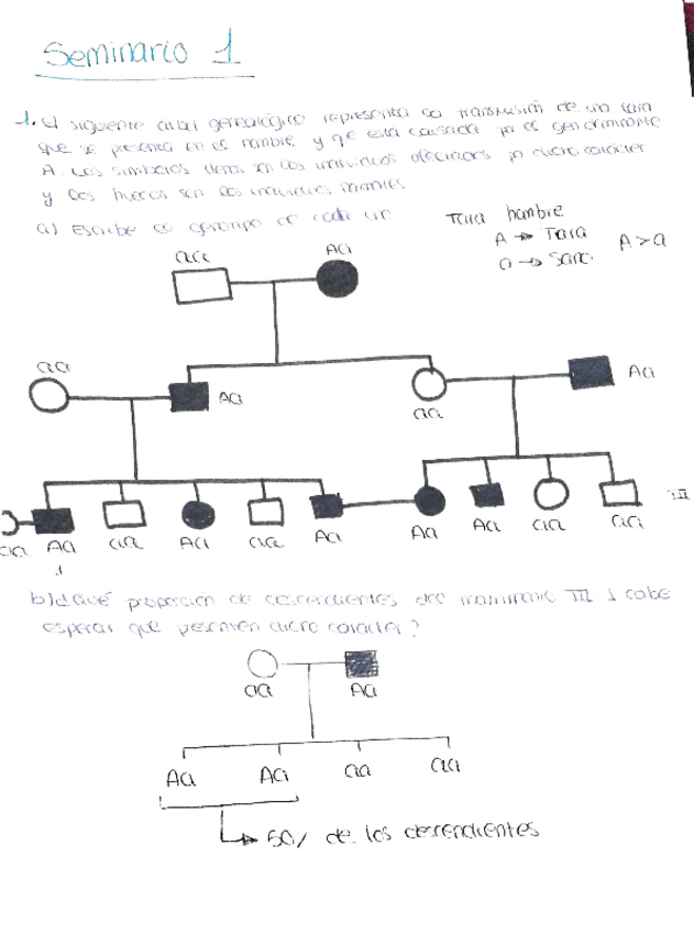 Miniatura del documento ejercicios genética.pdf