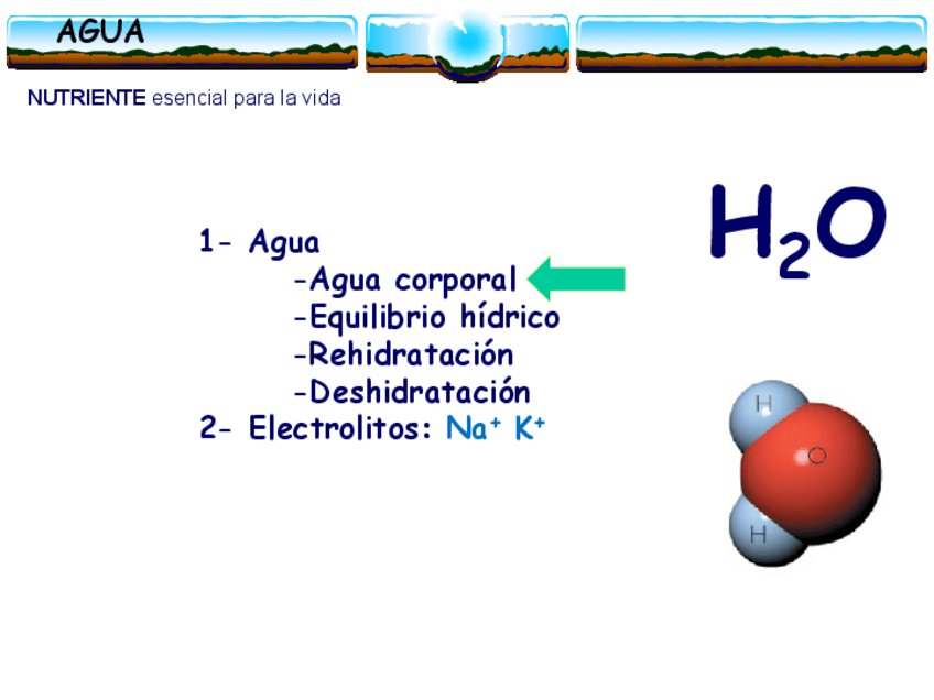 Miniatura del documento Tema-8.pdf