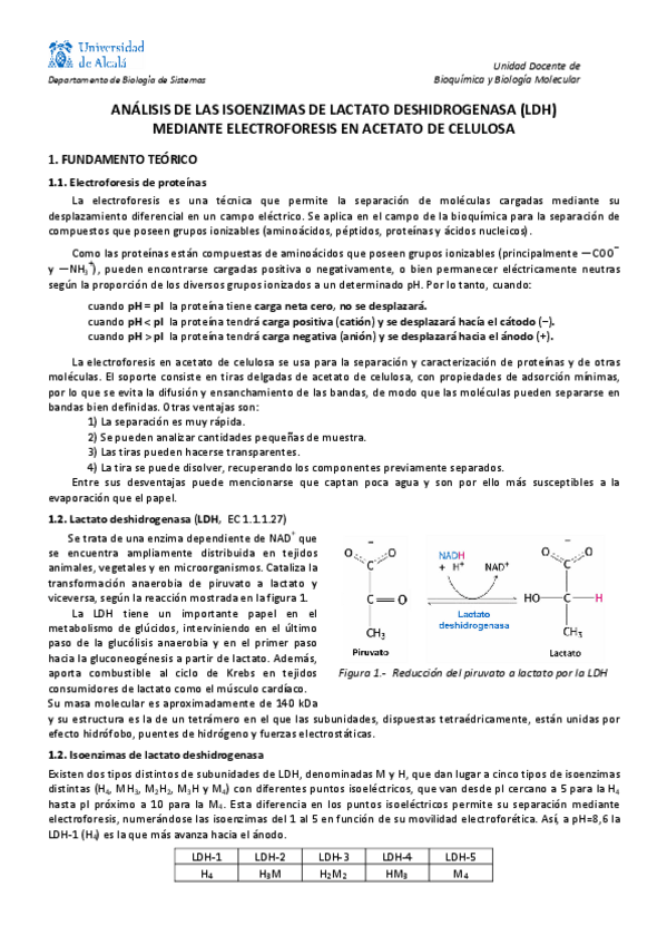 Miniatura del documento PRACTICAS-BIOQUIMICA.pdf
