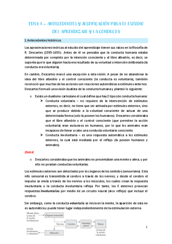 Miniatura del documento apuntes-aprendizaje-temas-1-10.pdf