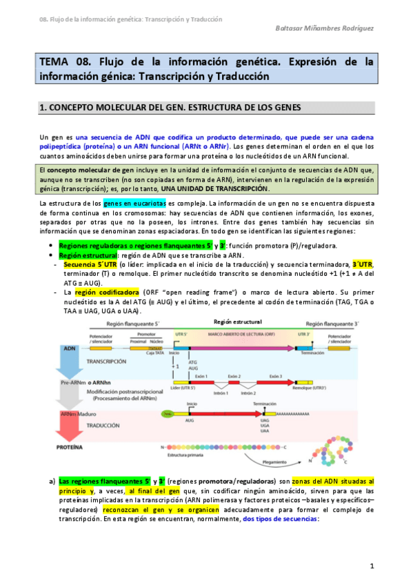 Miniatura del documento 10.-Bio.pdf