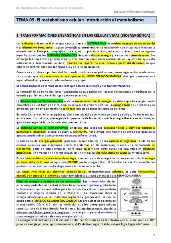 Miniatura del documento 11.-Bio.pdf