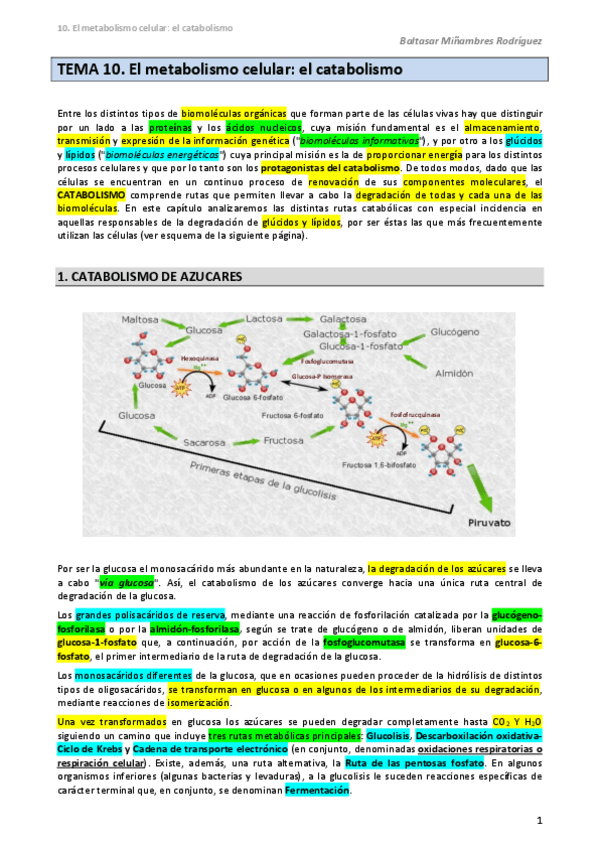 Miniatura del documento 12.-Bio.pdf