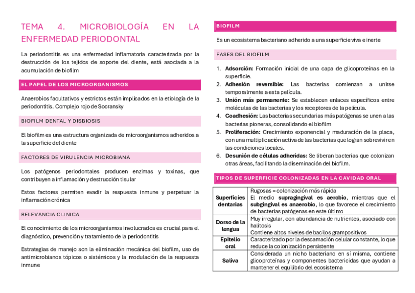 Miniatura del documento T.4..pdf