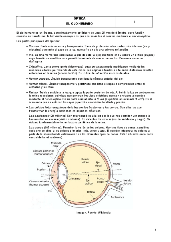 Miniatura del documento El-Ojo-humano.pdf