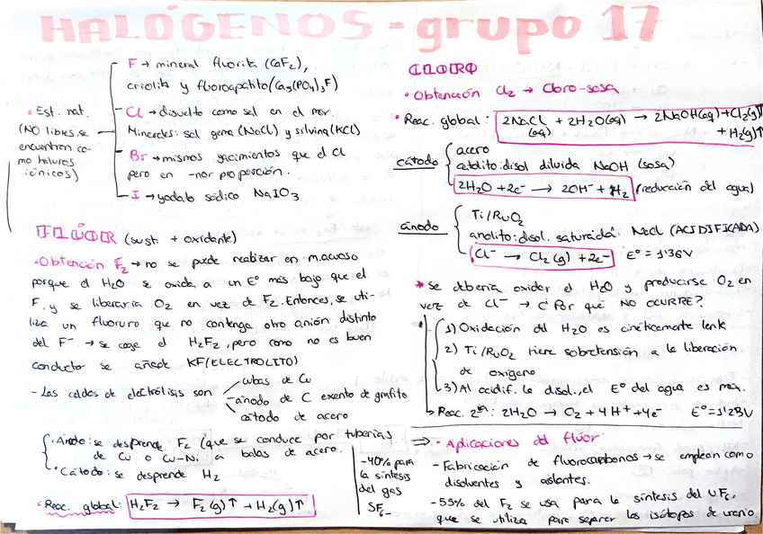Miniatura del documento Resumen-grupo-halogenos.pdf