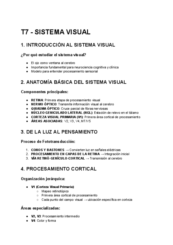 Miniatura del documento T7-SISTEMA-VISUAL.pdf