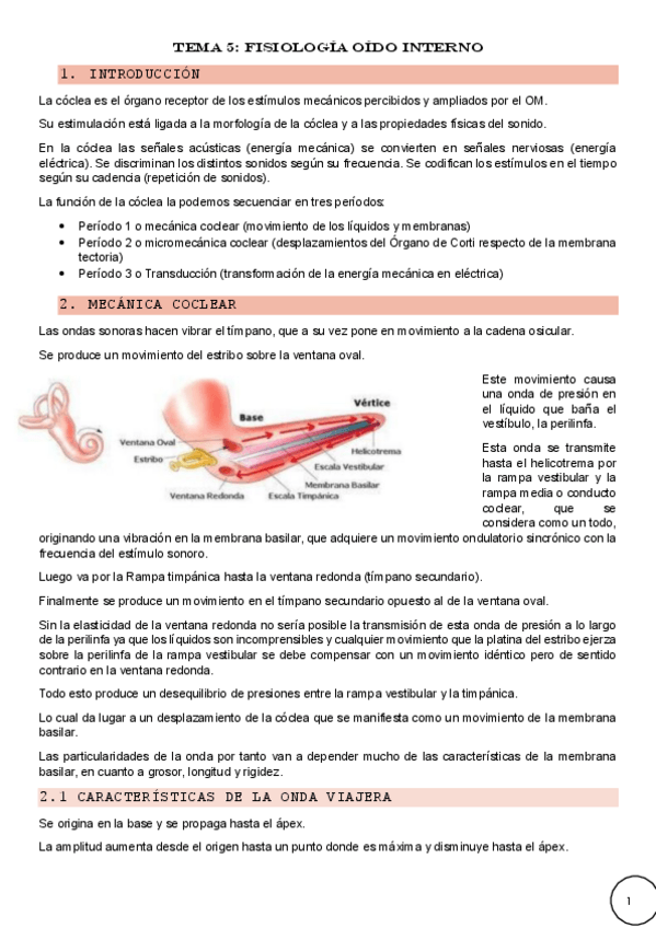 Miniatura del documento Tema-5-Fisiologia-oido-interno.pdf