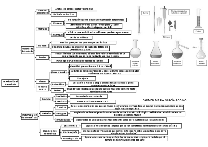 Miniatura del documento RESUMEN PRACTICAS BIOQUIMICA.pdf
