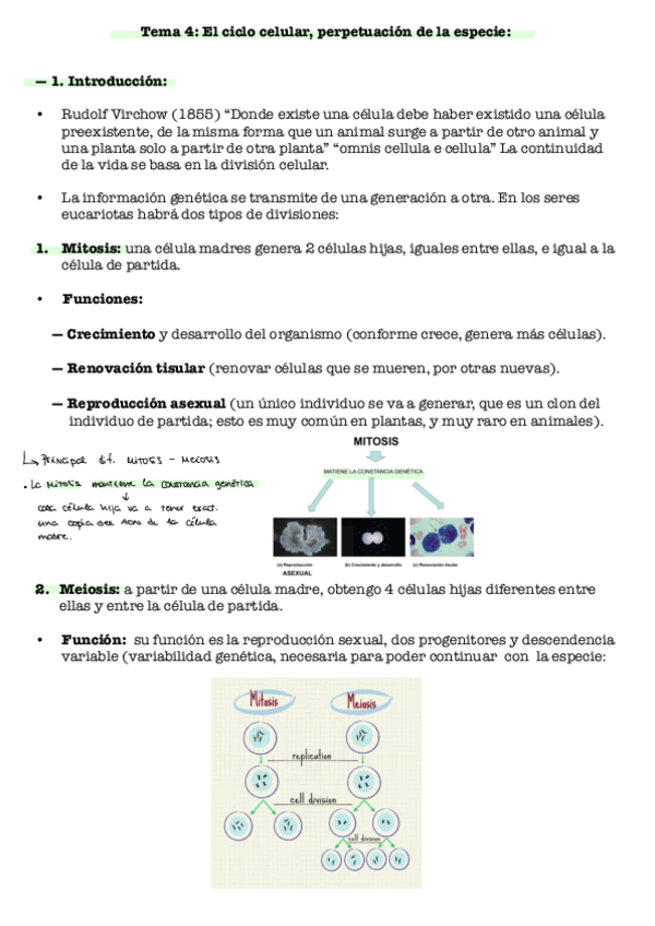 Miniatura del documento Tema-4-Biologia.pdf