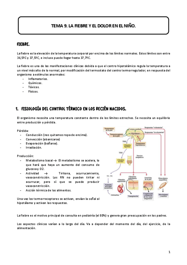 Miniatura del documento TEMA-9.pdf