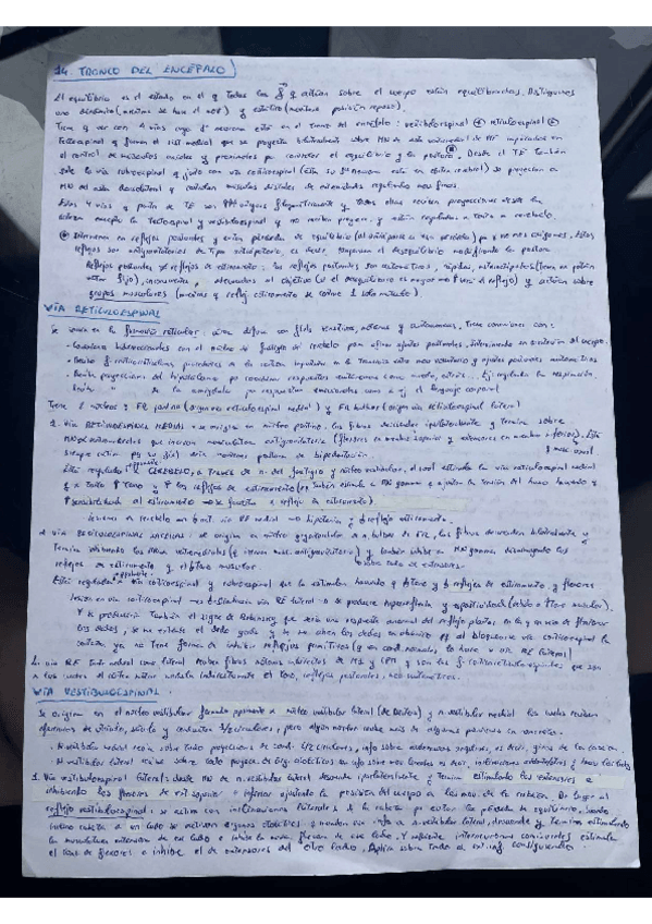 Miniatura del documento T14-TRONCO-ENCEFALO.pdf
