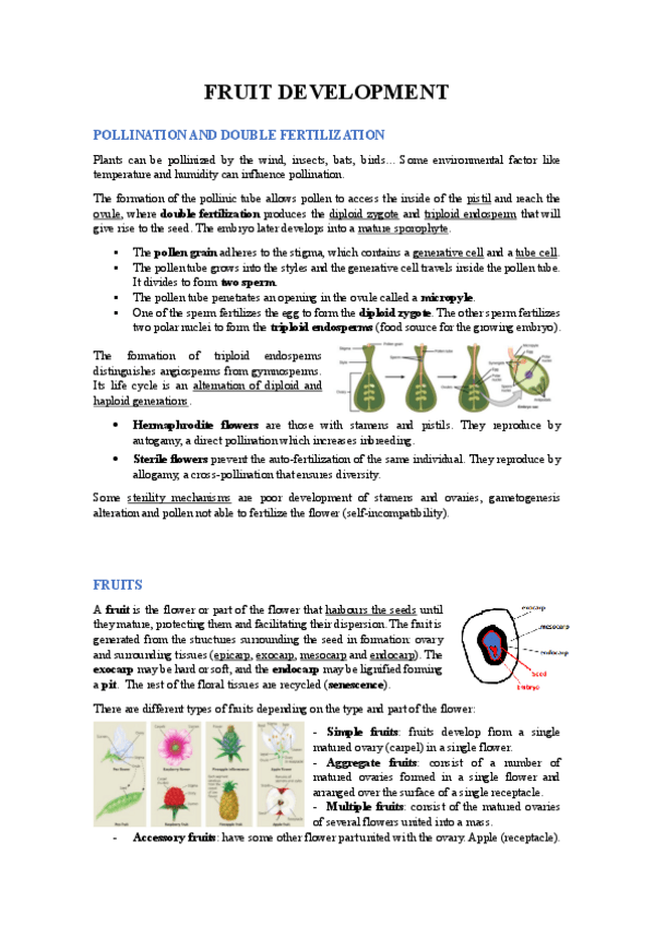 Miniatura del documento UNIT-13.pdf