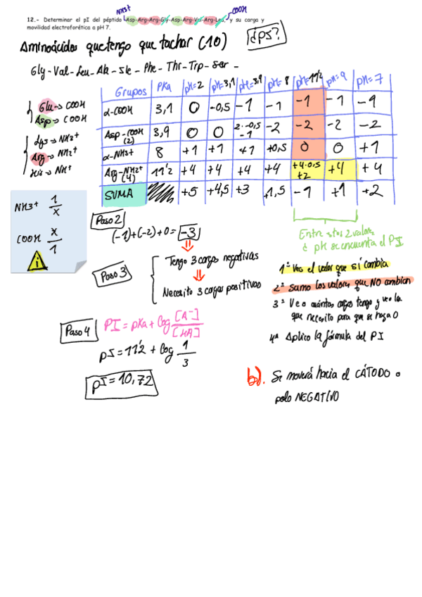 Miniatura del documento Problemas-Bioquimica-Punto-isoelectrico.pdf