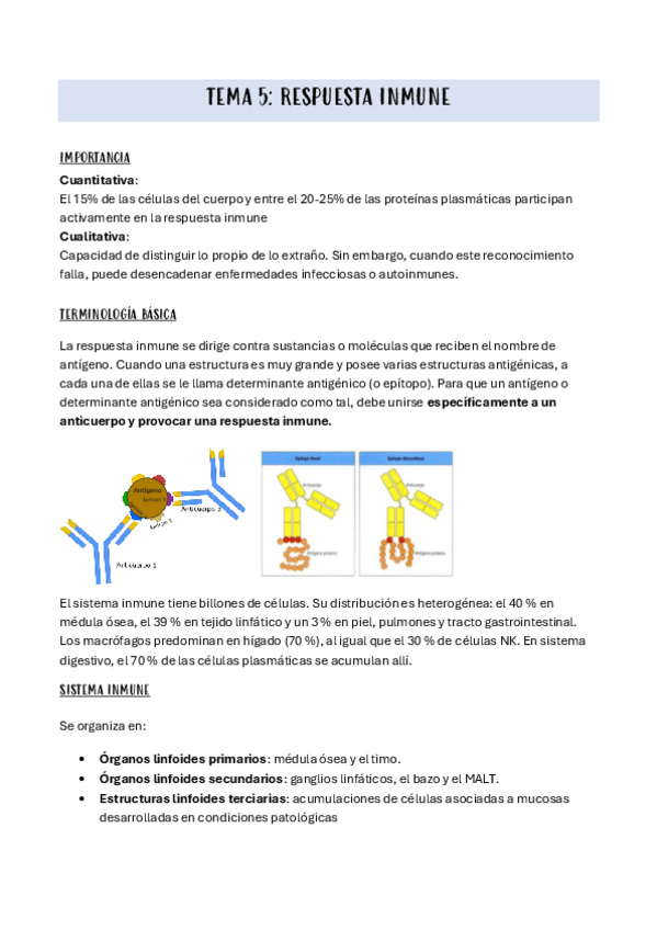 Miniatura del documento TEMA-5.pdf
