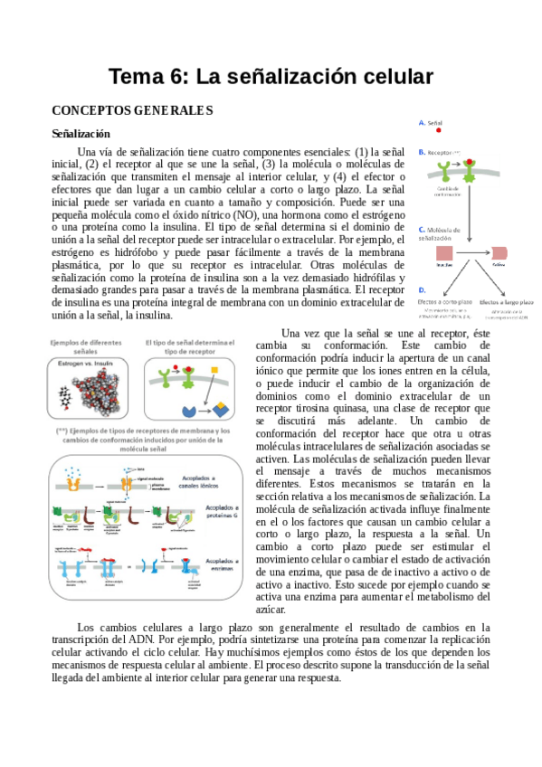 Miniatura del documento TEMA 6.pdf