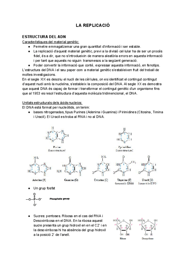 Miniatura del documento T3.1 LA REPLICACIÓ.pdf