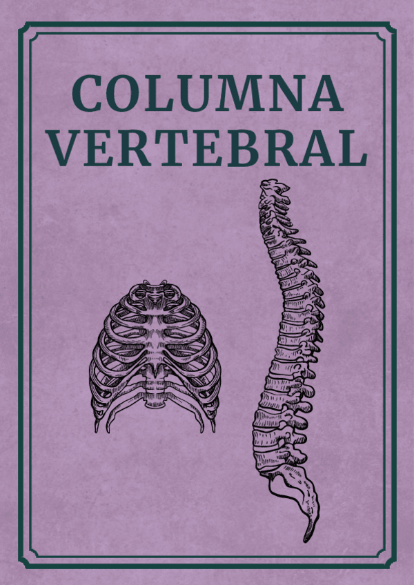 Miniatura del documento libreto-anatomia-osteologia-columna.pdf