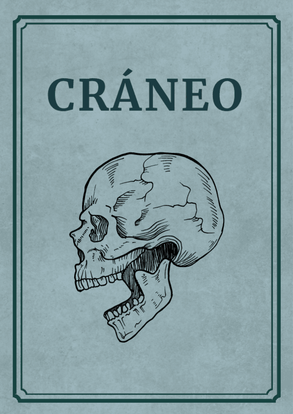 Miniatura del documento libreto-anatomia-osteologia-craneo.pdf