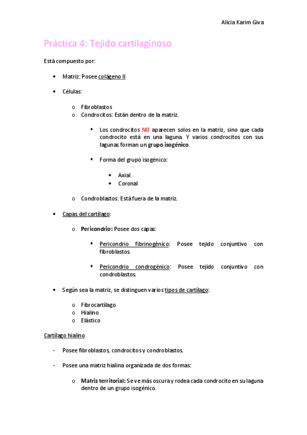 Miniatura del documento Practica-4.pdf