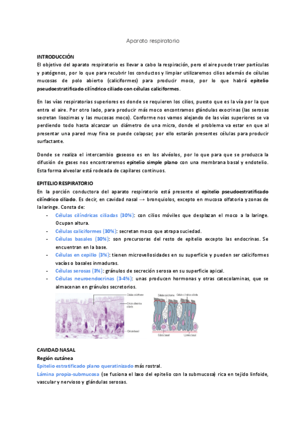 Miniatura del documento Histologia-aparato-respiratorio.pdf