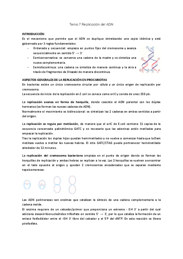 Miniatura del documento Tema-7-Replicacion-del-ADN.pdf