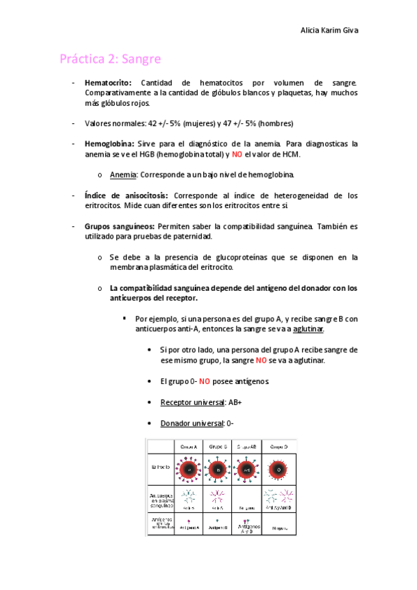 Miniatura del documento Practica-2.pdf