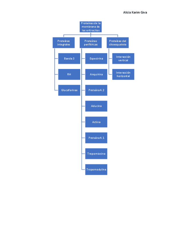 Miniatura del documento Esquemas-tema-12.pdf