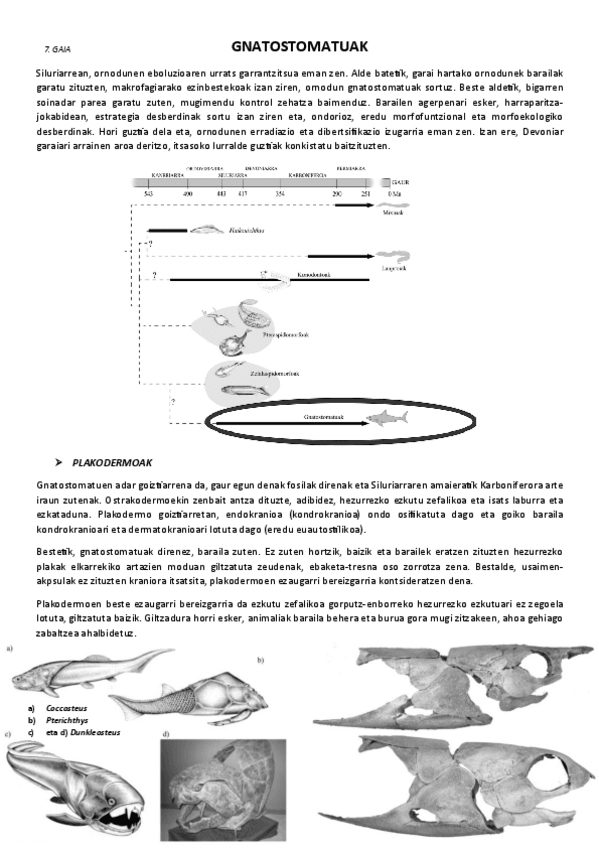 Miniatura del documento 7.-Gnatostomatuak.pdf