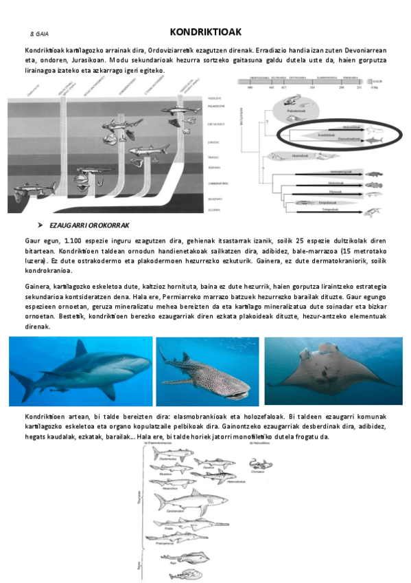Miniatura del documento 8.-Kondriktioak.pdf